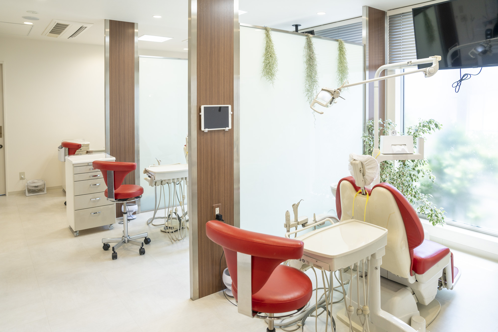 成城7丁目かおり歯科クリニックphoto